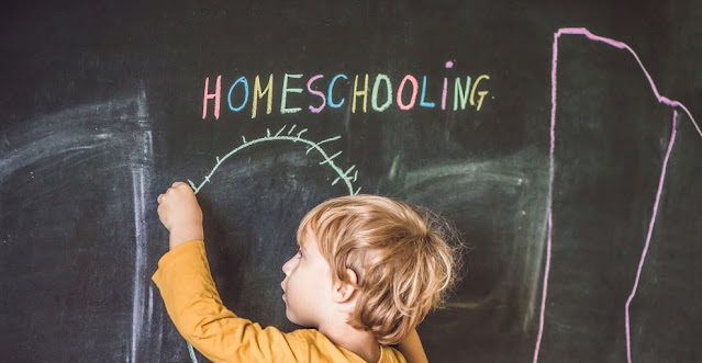 Perbedaan Homeschooling Dengan Sekolah Formal